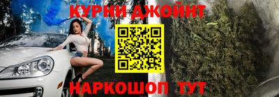 сатива Гатчина