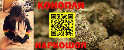 сатива Гатчина