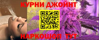 сатива Гатчина