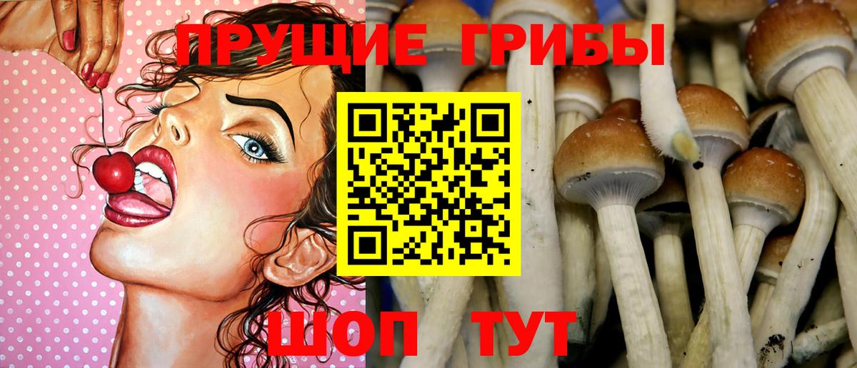 Нижнеудинск  Псилоцибиновые грибы мицелий  наркотики  Вход с VPN 